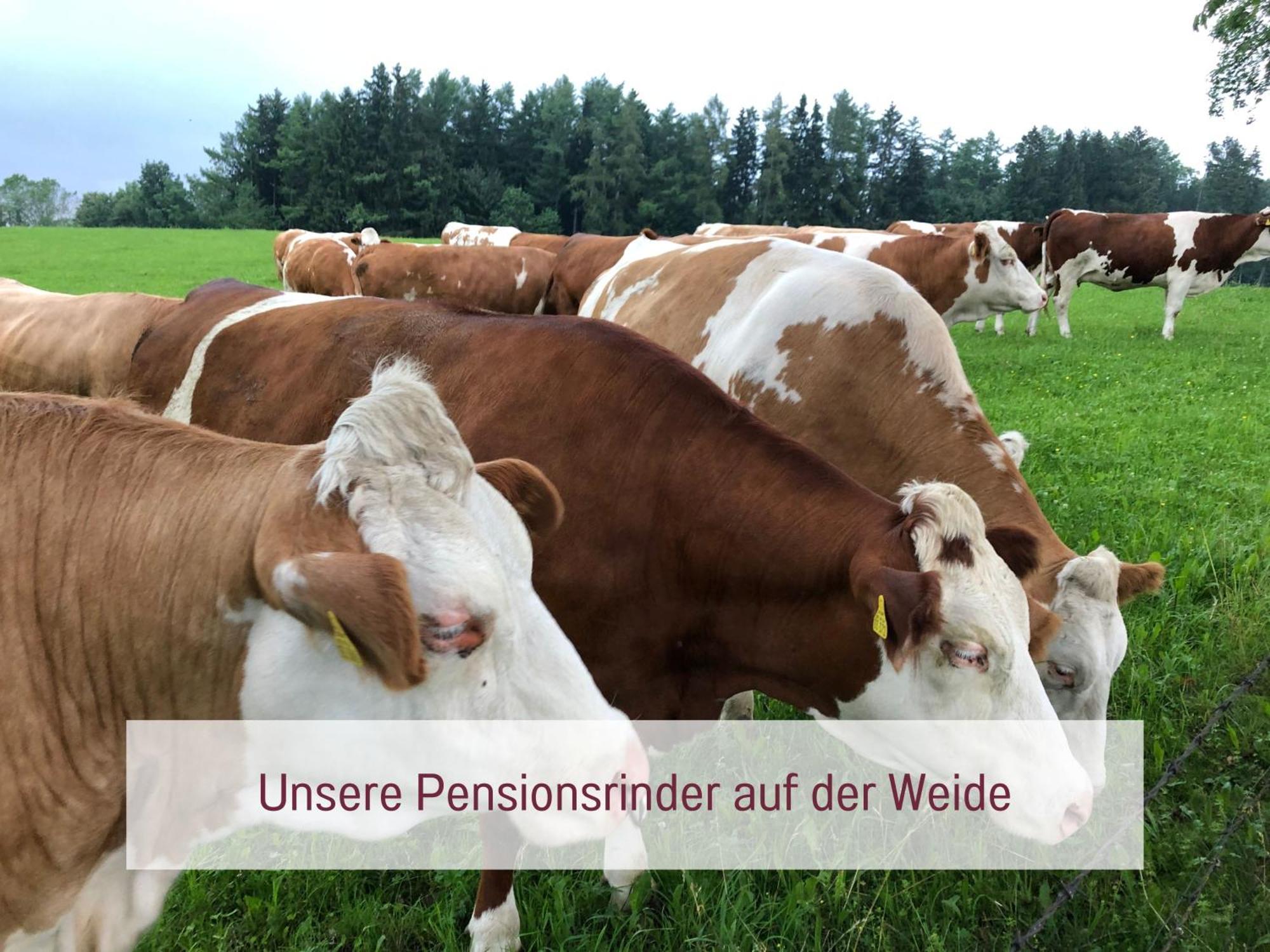Designerwohnungen "Beim Schmied" In Chiemseenaehe Traunreut Exterior foto